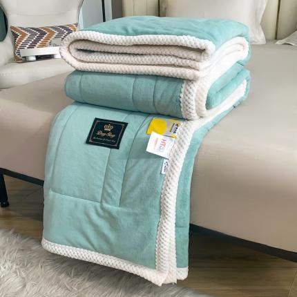 澳洲羽 2024新牛奶绒+羊羔绒盖毯毛毯子床单绒被子 高级-绿