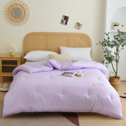 91家纺网 家纺一手货源 找家纺 德芙素色简约日式水洗棉被芯整张仿丝棉春秋被保暖冬被包质检 香芋紫Taro Purple