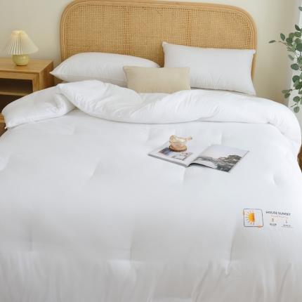 德芙素色简约日式水洗棉被芯整张仿丝棉春秋被保暖冬被包质检 月光白Moonlight White