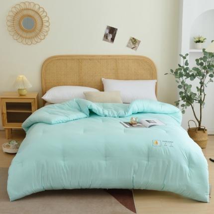 德芙素色简约日式水洗棉被芯整张仿丝棉春秋被保暖冬被包质检 竹青色Bamboo Cyan