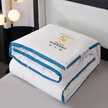 薇玛仕 2023新款立体水洗磨毛亲肤牛奶大豆被冬被 蓝边-本白