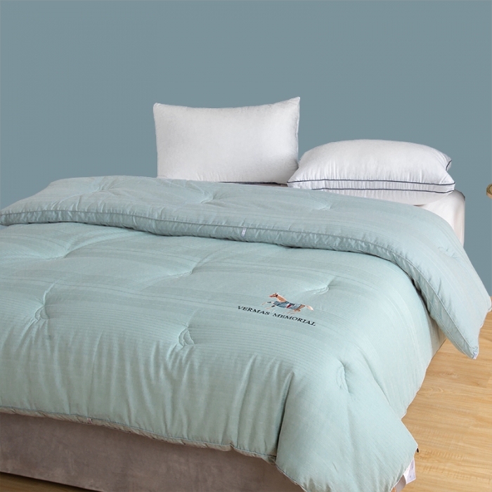 91家纺网 家纺一手货源 找家纺 薇玛仕 2023新款A类母婴抗菌绣花大豆被冬被 水蓝