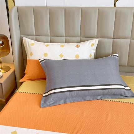 91家纺网 家纺一手货源 找家纺 凯磊2022新款.磨毛系列单枕套48*74cm/对悦动时光