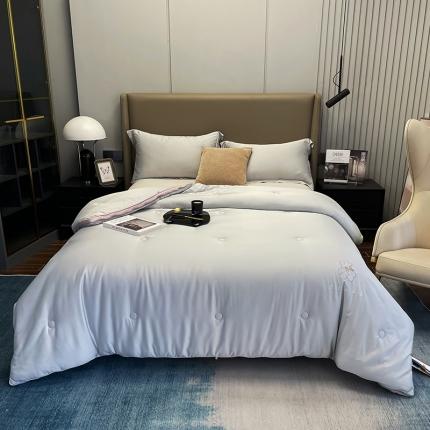 91家纺网 家纺一手货源 找家纺 （总）桂雅居 2022新款U贝珍珠鲜豆蛋白子母被