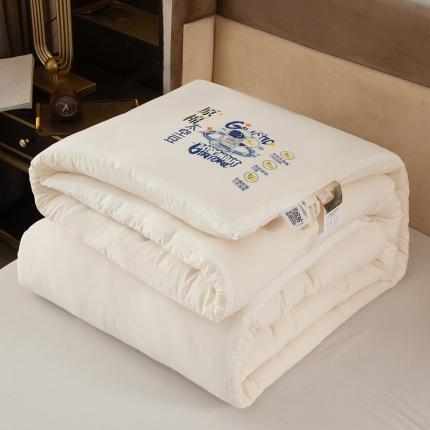 薇玛仕 2023新款A类原棉太空大豆被冬被 太空-本白
