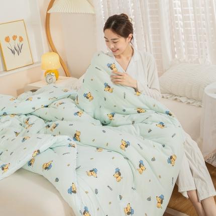 91家纺网 家纺一手货源 找家纺 （总）芯恋 2025款针织棉大豆被子被芯春秋加厚冬被直播