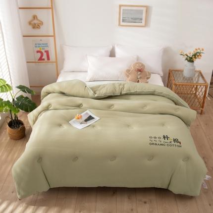 91家纺网 家纺一手货源 找家纺 薇玛仕-A类朴棉大豆被冬被 草绿色