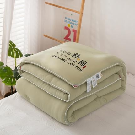 (总)薇玛仕-A类朴棉大豆被冬被