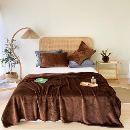 2025新款320g金貂绒亲肤盖毯加厚纯色珊瑚绒素色法兰绒毯子外贸高端款咖啡