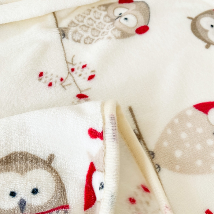 91家纺网 家纺一手货源 找家纺 2025新款320g金貂绒亲肤盖毯加厚印花色珊瑚绒素色法兰绒毯子外贸高端款猫头鹰