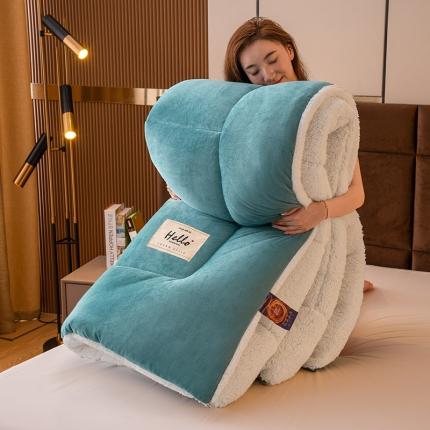 梦恬佳 2022新款牛奶绒羊羔绒冬被被子被芯 湖蓝色