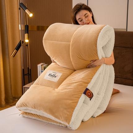 梦恬佳 2022新款牛奶绒羊羔绒冬被被子被芯 浅卡其