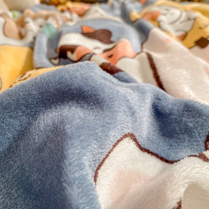 91家纺网 家纺一手货源 找家纺 西引力 2022小清新牛奶绒四件套法莱绒单被套直播 加油少年