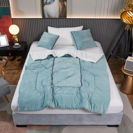 91家纺网 家纺一手货源 找家纺 （总）翰轩家居 2022新款水晶绒绣花抱枕被系列-山茶花开