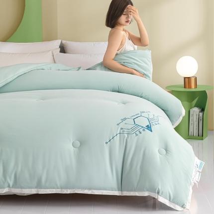 91家纺网 家纺一手货源 找家纺 梦镜 2025石墨烯自发热小黑被芯冬被子 绿色