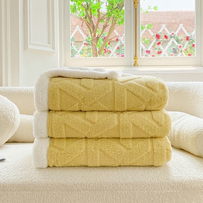 91家纺网 家纺一手货源 找家纺 呗旺鹿新A类双面塔芙绒羊羔绒毛毯办公室午睡盖毯子直播 格调