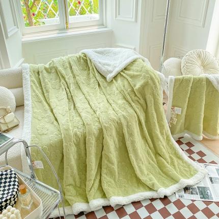 呗旺鹿2022新A类双面塔芙绒羊羔绒毛毯盖毯子 浅浅花漾-绿