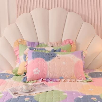 91家纺网 家纺一手货源 找家纺 甜之梦 2025新款全棉印花夹棉抗菌枕套 魔法花园