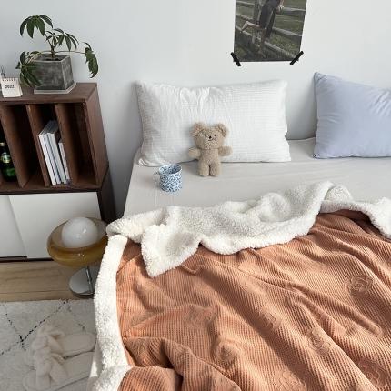 91家纺网 家纺一手货源 找家纺 （总）六巷胡同 2022新款山茶花牛奶绒拼羊羔绒毯