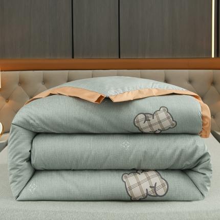 圣楚 2024新馨柔羽丝绒冬被春秋被子被芯直播电商爆款 可爱多
