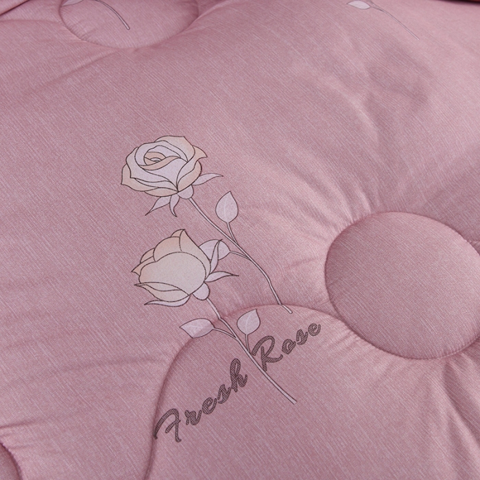 91家纺网 家纺一手货源 找家纺 圣楚 2024新馨柔羽丝绒冬被春秋被子被芯直播电商爆款 香槟玫瑰