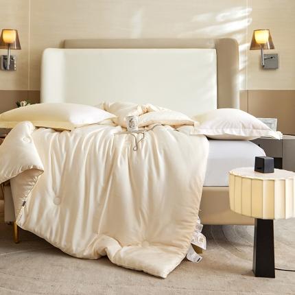 （70%大豆）高端A类提花70大豆被大豆蛋白春秋被加厚冬被 70大豆被2