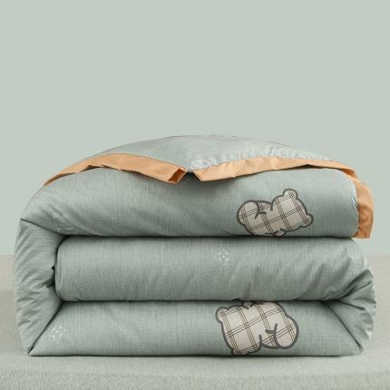 91家纺网 家纺一手货源 找家纺 （总）圣楚 2024新馨柔羽丝绒冬被春秋被子被芯直播电商爆款