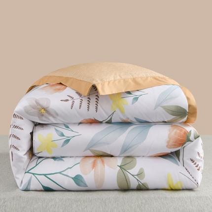 91家纺网 家纺一手货源 找家纺 （总）圣楚 2024新馨柔羽丝绒冬被春秋被子被芯直播电商爆款