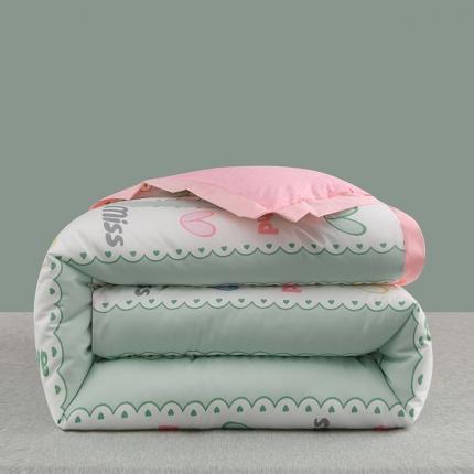 91家纺网 家纺一手货源 找家纺 （总）圣楚 2024新馨柔羽丝绒冬被春秋被子被芯直播电商爆款