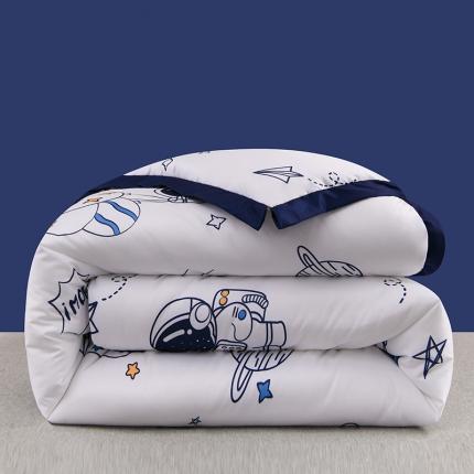 91家纺网 家纺一手货源 找家纺 （总）圣楚 2024新馨柔羽丝绒冬被春秋被子被芯直播电商爆款