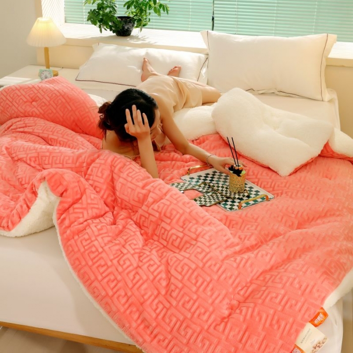 91家纺网 家纺一手货源 找家纺 伊被源 2022新款羊羔剪花绒冬被被子被芯 玉色