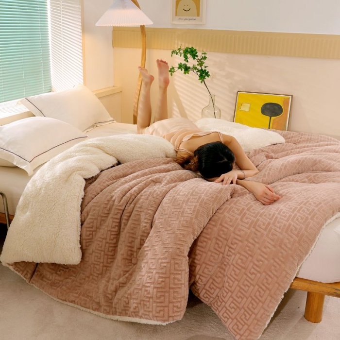 91家纺网 家纺一手货源 找家纺 伊被源 2022新款羊羔剪花绒冬被被子被芯 卡其