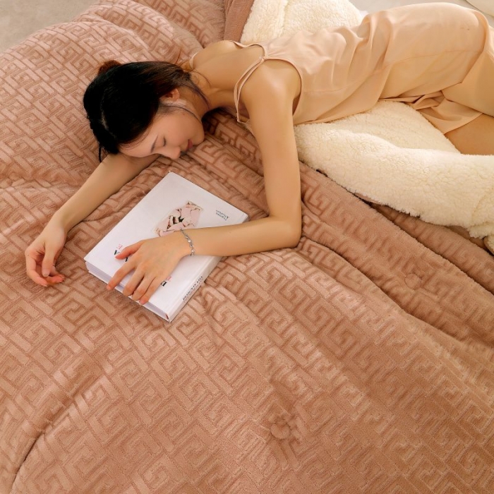 91家纺网 家纺一手货源 找家纺 伊被源 2022新款羊羔剪花绒冬被被子被芯 卡其