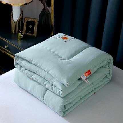 91家纺网 家纺一手货源 找家纺 （总）伊被源 2022新款亲肤抗菌舒适冬被被子被芯-燕窝里