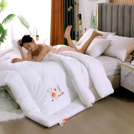 （总）伊被源 2022新款亲肤抗菌舒适冬被被子被芯-燕窝里