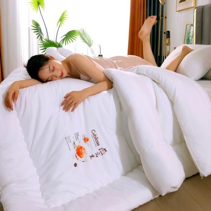 伊被源 2022新款亲肤抗菌纤维舒适冬被被子被芯-燕窝里 白色