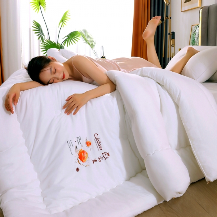 91家纺网 家纺一手货源 找家纺 伊被源 2022新款亲肤抗菌纤维舒适冬被被子被芯-燕窝里 白色