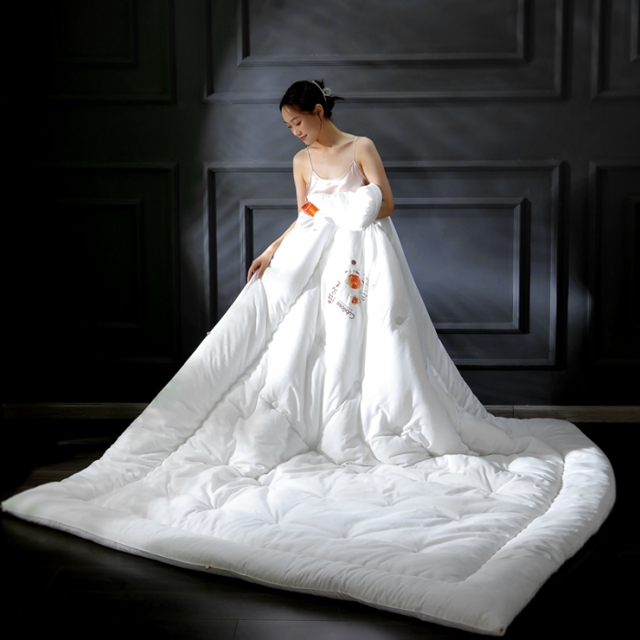 91家纺网 家纺一手货源 找家纺 伊被源 2022新款亲肤抗菌纤维舒适冬被被子被芯-燕窝里 白色