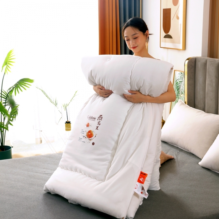 91家纺网 家纺一手货源 找家纺 伊被源 2022新款亲肤抗菌纤维舒适冬被被子被芯-燕窝里 白色