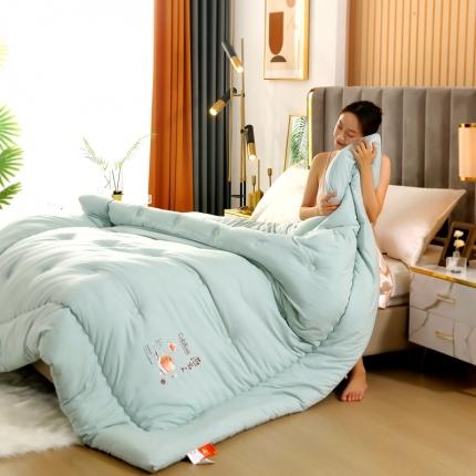 伊被源 2022新款亲肤抗菌纤维舒适冬被被子被芯-燕窝里 水绿