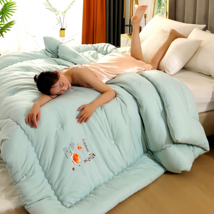 91家纺网 家纺一手货源 找家纺 伊被源 2022新款亲肤抗菌纤维舒适冬被被子被芯-燕窝里 水绿