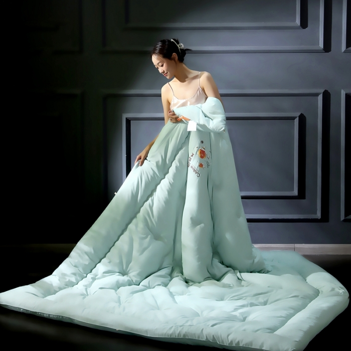 91家纺网 家纺一手货源 找家纺 伊被源 2022新款亲肤抗菌纤维舒适冬被被子被芯-燕窝里 水绿