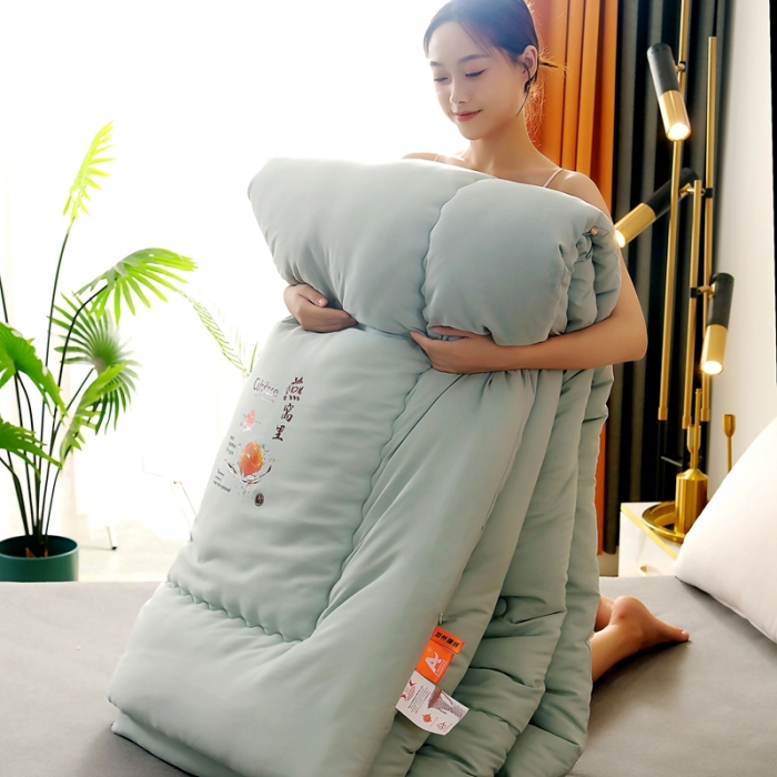 91家纺网 家纺一手货源 找家纺 伊被源 2022新款亲肤抗菌纤维舒适冬被被子被芯-燕窝里 水绿