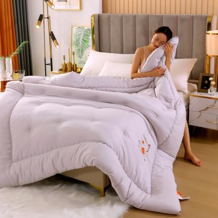 伊被源 2022新款亲肤抗菌纤维舒适冬被被子被芯-燕窝里 灰色
