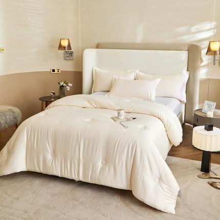 （70%大豆）A类提花大豆被大豆春秋被加厚冬被双人被芯