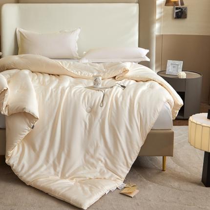 （70%大豆）A类提花大豆被大豆春秋被加厚冬被双人被芯 70大豆被