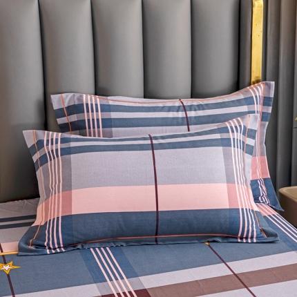 91家纺网 家纺一手货源 找家纺 纽缦 纯棉磨毛加厚系列-单枕套 48x74cm（一对） 未来之星