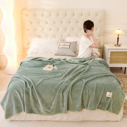 雅萱 2022新款双面加厚华夫格毛毯 百合绿