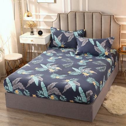 晶缦 2022新款全棉活性磨毛多规格床笠系列 热带罗林