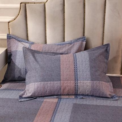 晶缦2022新款全棉活性磨毛多规格枕套一对系列 布拉格